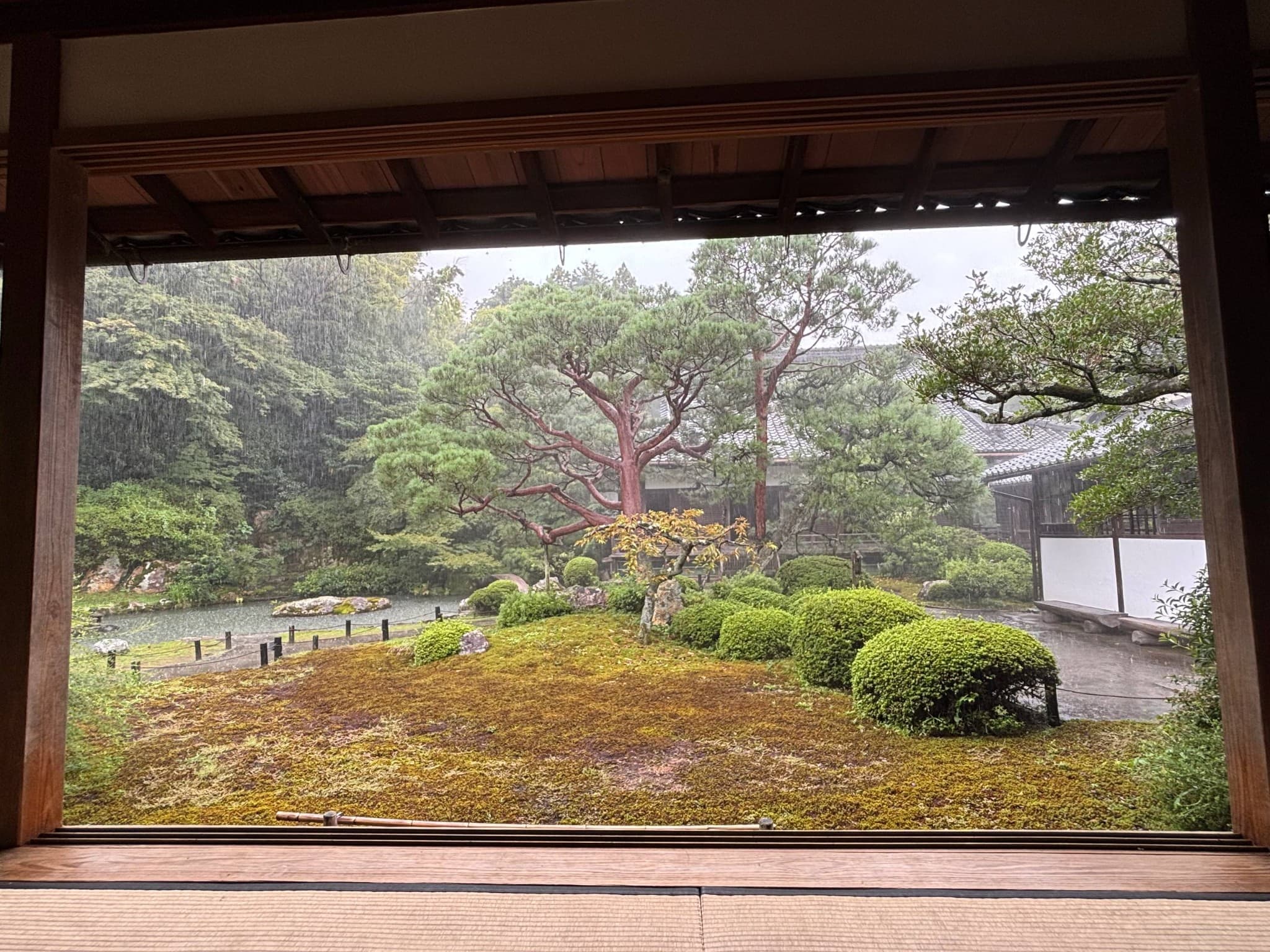 Rainy Japanese garden